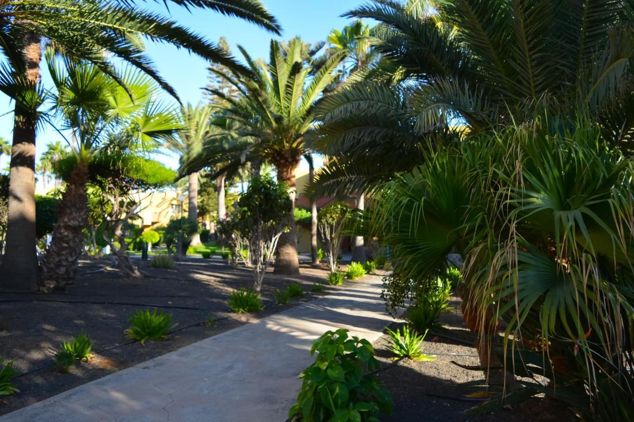Casa Bella By Best Holidays Fuerteventura 科拉雷侯 外观 照片