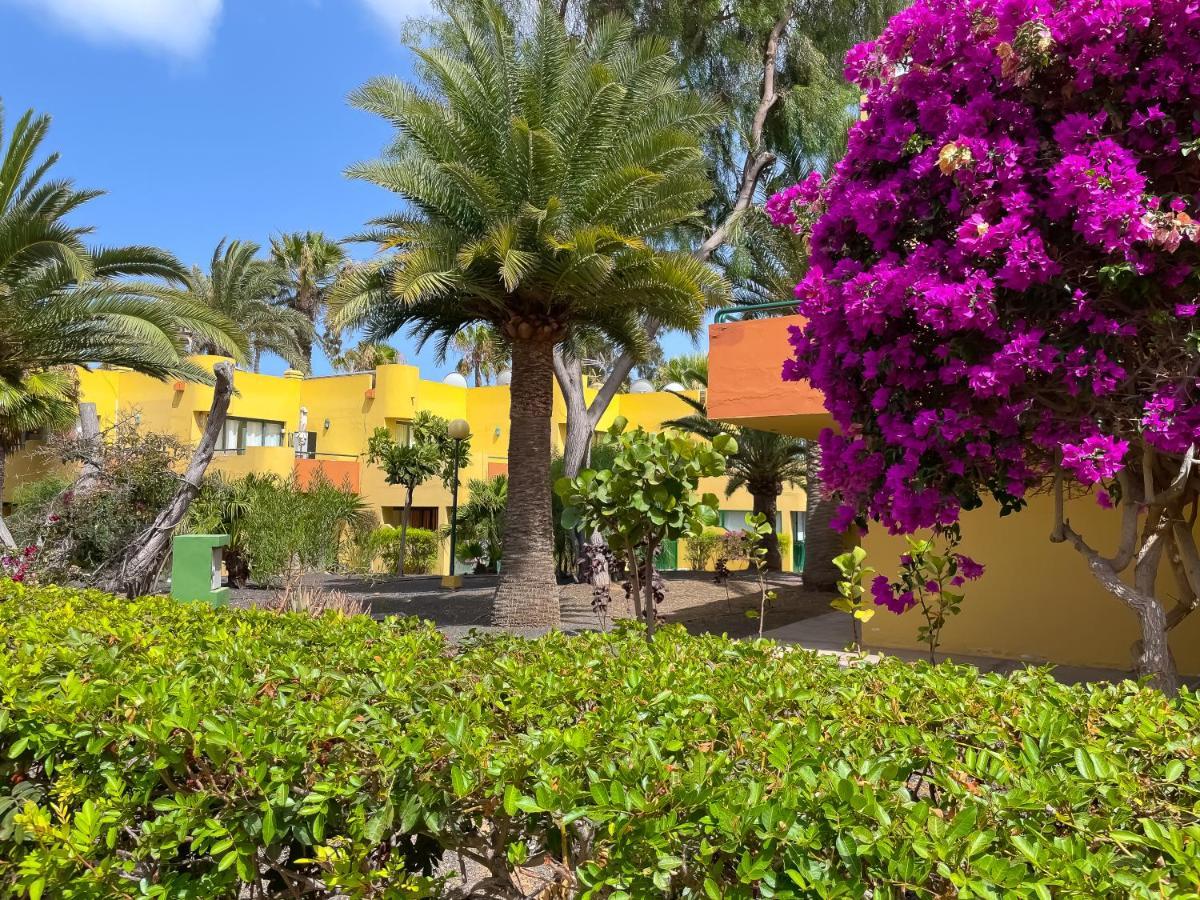 Casa Bella By Best Holidays Fuerteventura 科拉雷侯 外观 照片